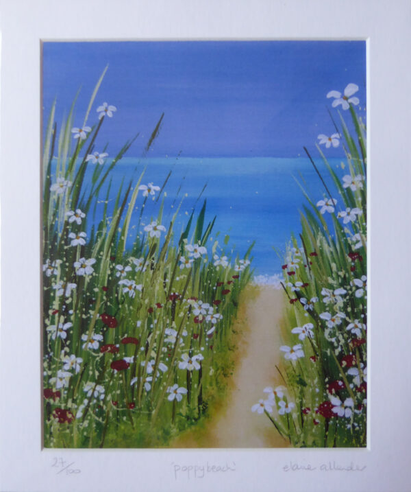 Poppy Beach